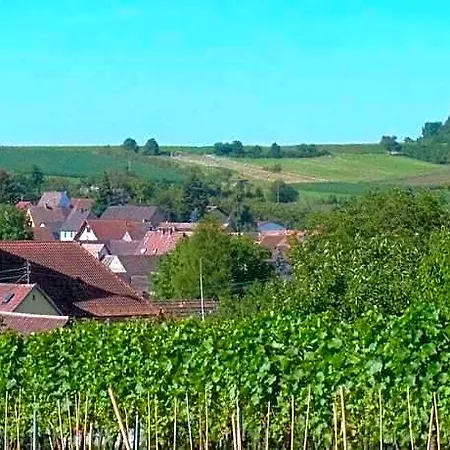 Pfaelzerleben Palatinate Experience 4*