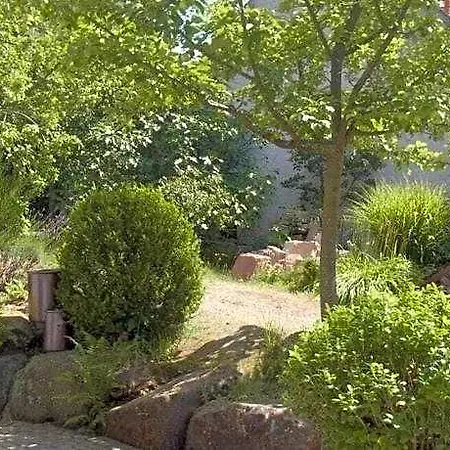 Pfaelzerleben Palatinate Experience فندق