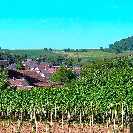 Pfaelzerleben Palatinate Experience 4*